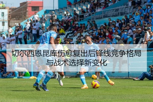 img_1779481959913_2338_1_522.jpg