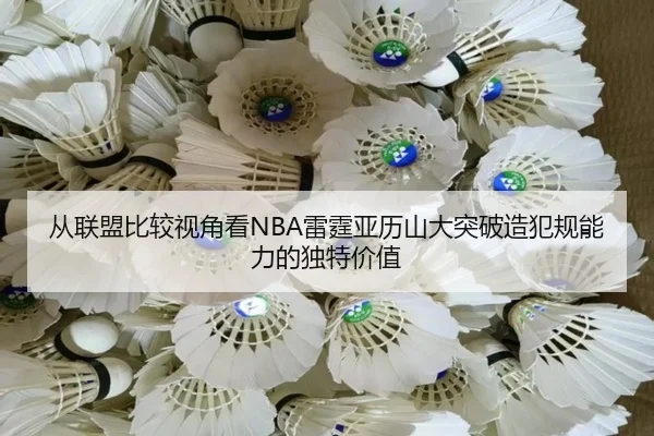 cong-lian-meng-bi-jiao-shi-jiao-kan-lei-ting-ya-li-shan-da-tu-po-zao-fan-gui-neng-li-de-du-te-jia-zhi-2-248.jpg